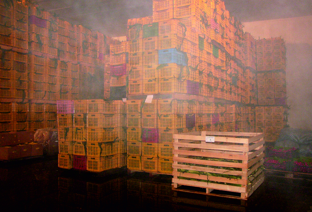 storage